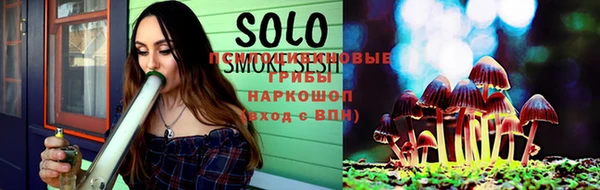 дмт Алексин