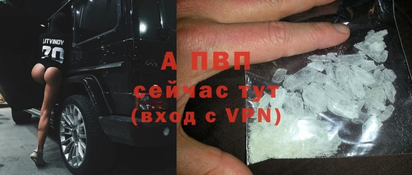 дмт Алексин