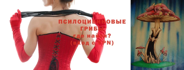 дмт Алексин