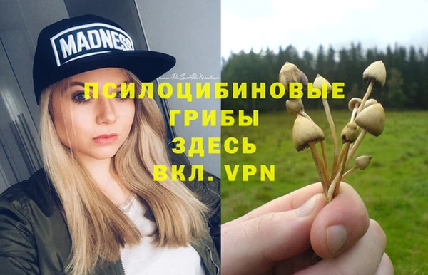 ПСИЛОЦИБИНОВЫЕ ГРИБЫ Россошь